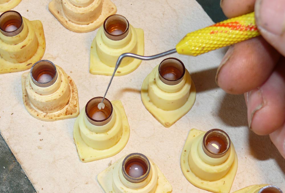 eine Spezialität von Mr.Bien: die instrumentelle Besamung von Bienen-Königinnen unter dem Stereo-Mikroskop